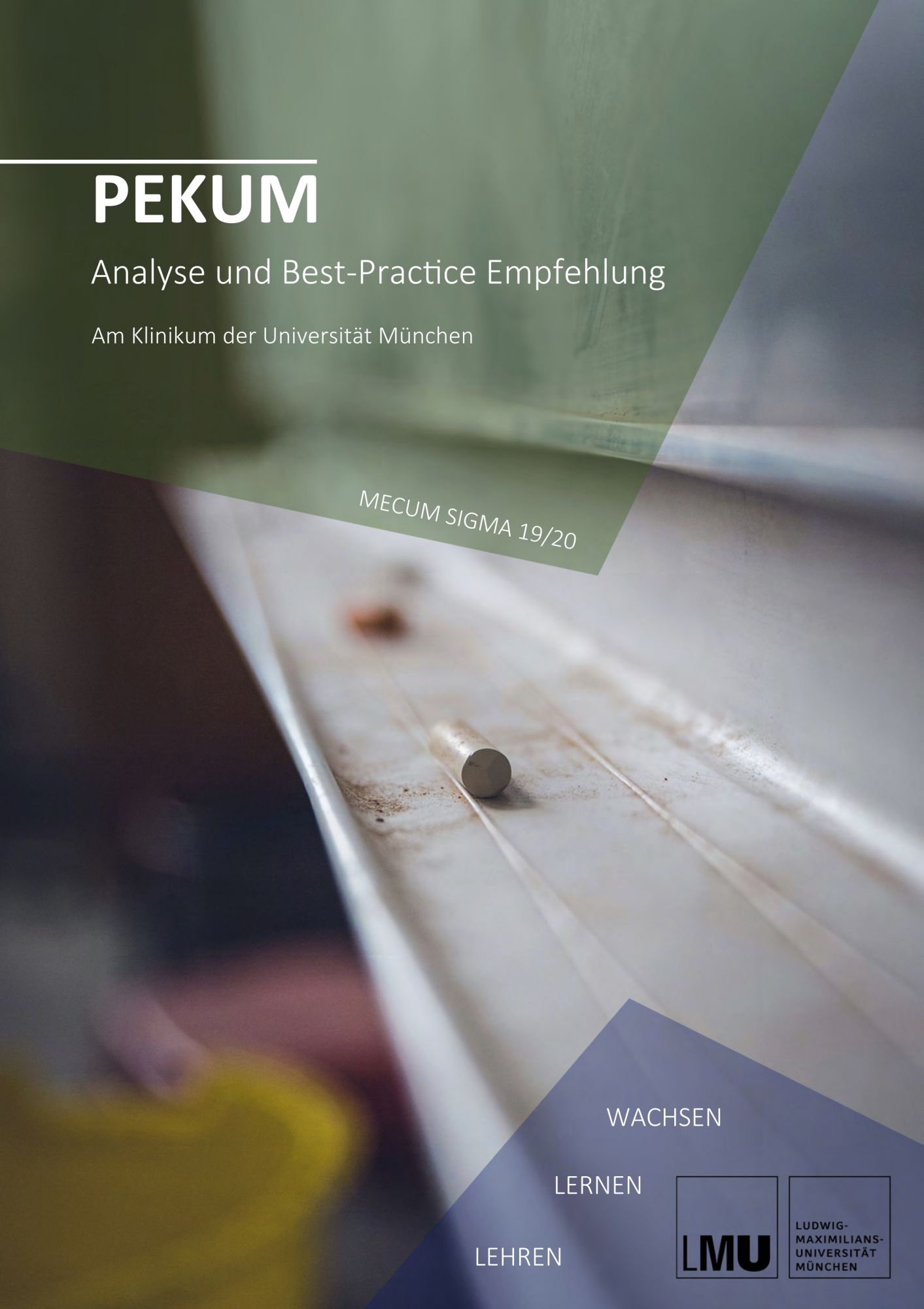 Projektphase: Personal Entwicklung KUM (PEKUM) - Analyse und Best-Practice Empfehlungen